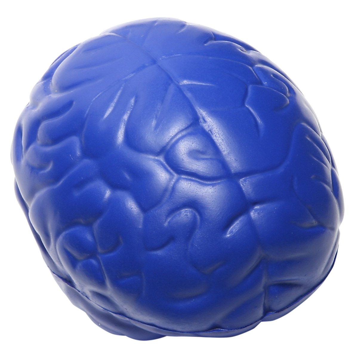Brain Slo-Release Serenity Squishy™ — Blue