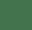 PMS 554C C