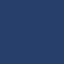 PMS 534 C