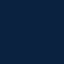 PMS 289