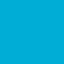 PMS blank