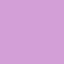 PMS blank