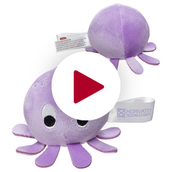 Stress Buster™ Squid