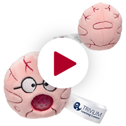 Stress Buster™ Brain