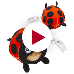 Ladybug Stress Buster™