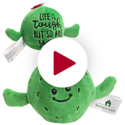 Cactus Stress Buster™