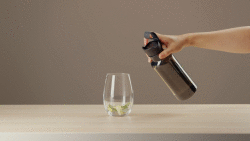 Lagoon 20 oz RPET Bottle